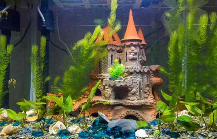 How to make aquarium safe decoration