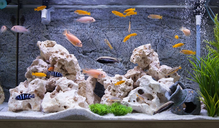 How to make aquarium safe decoration